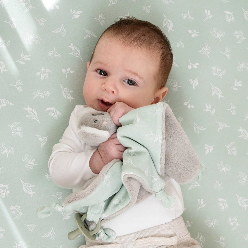 Koala Security Blanket
