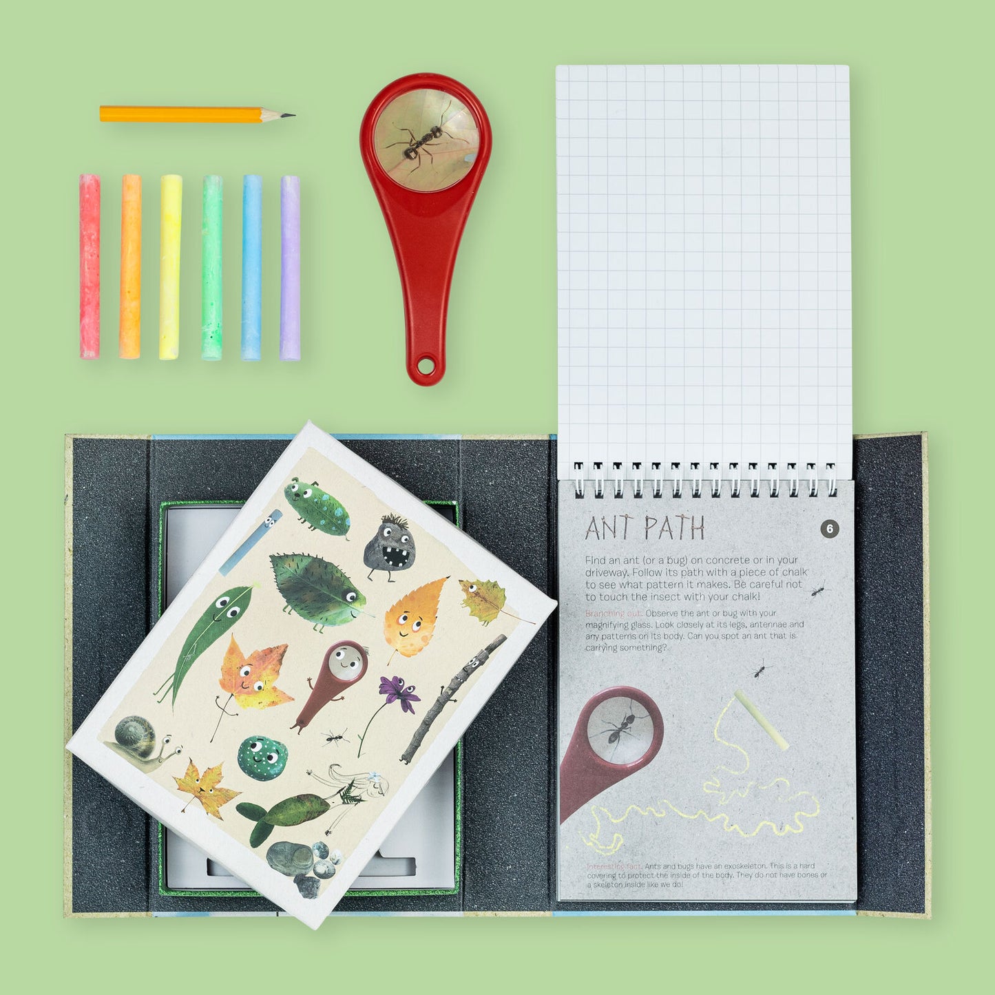 Back to Nature - Outdoor Activity Set