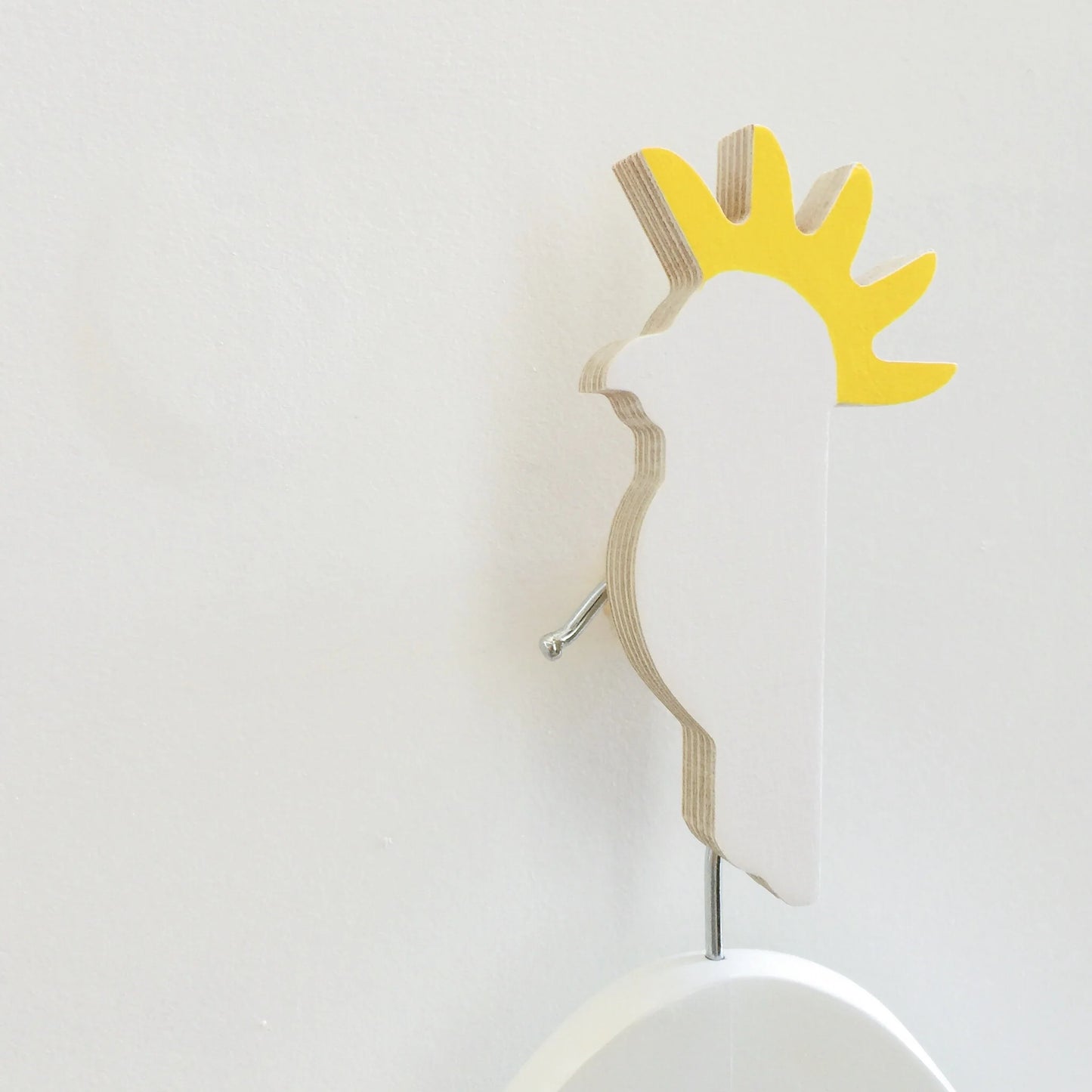 Wall Hooks