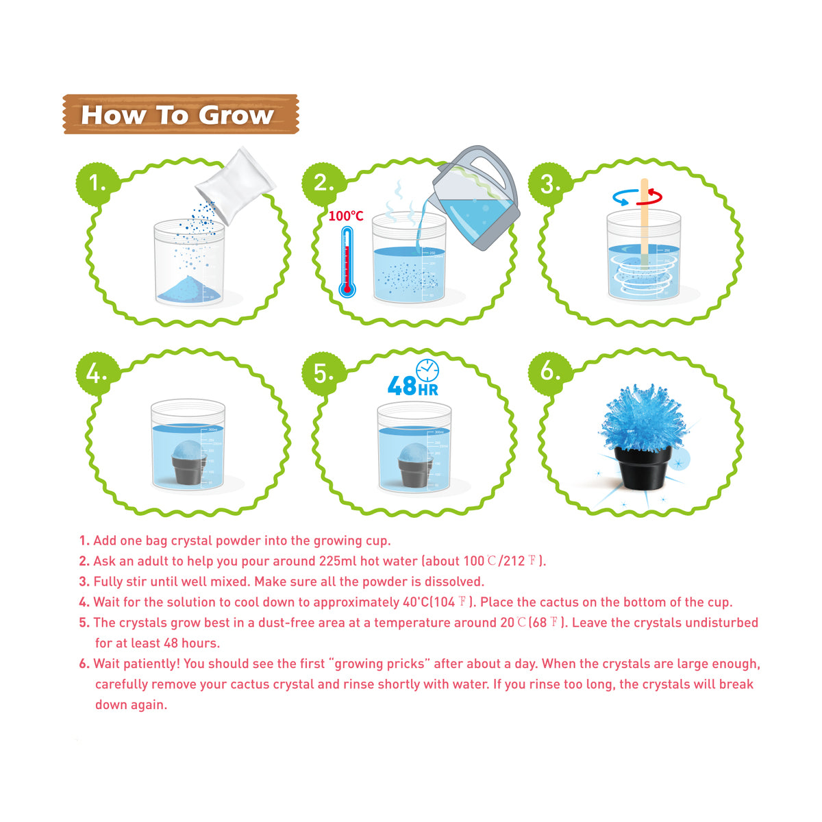 Crystal Cactus Growing Kit