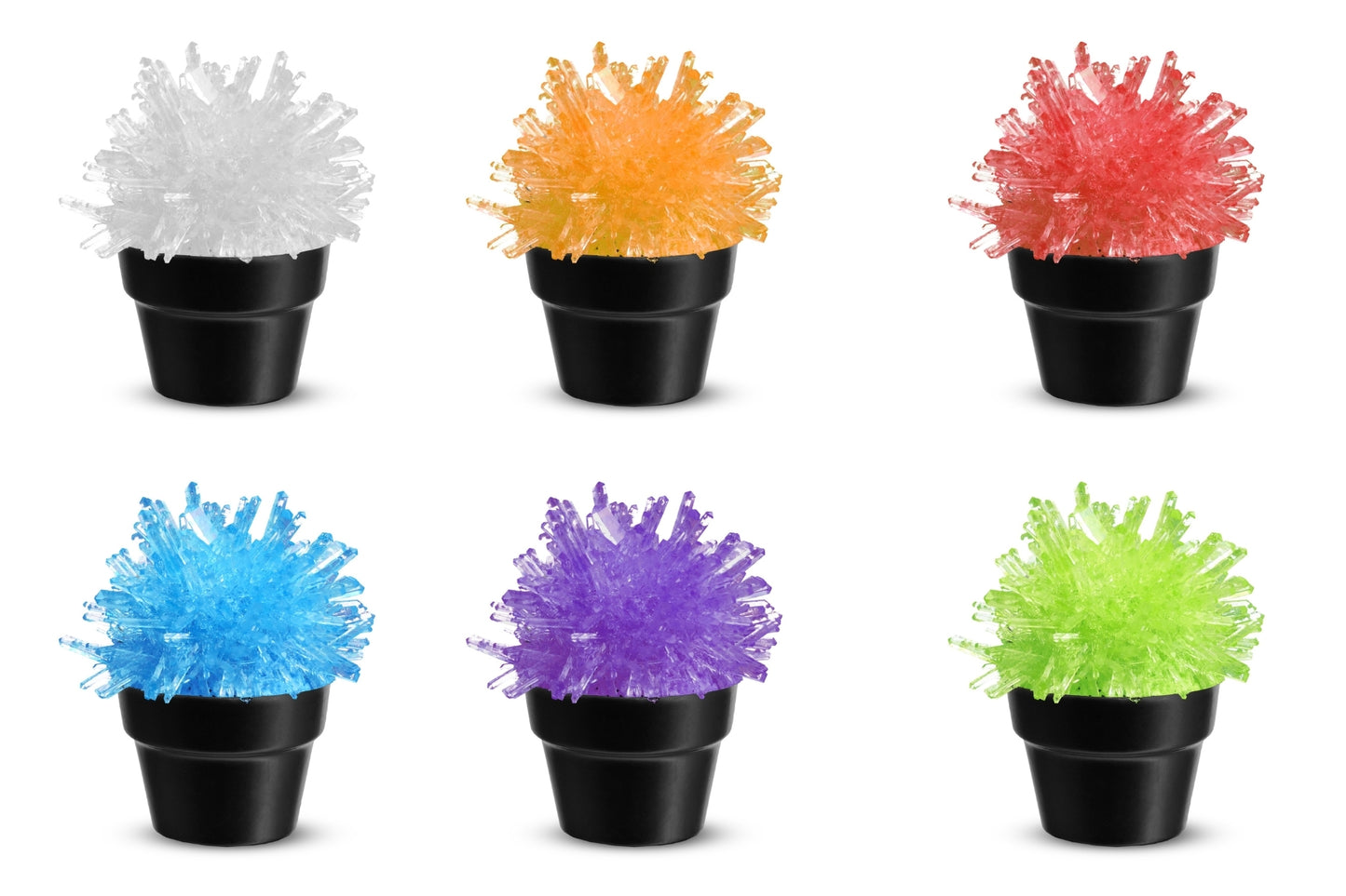 Crystal Cactus Growing Kit