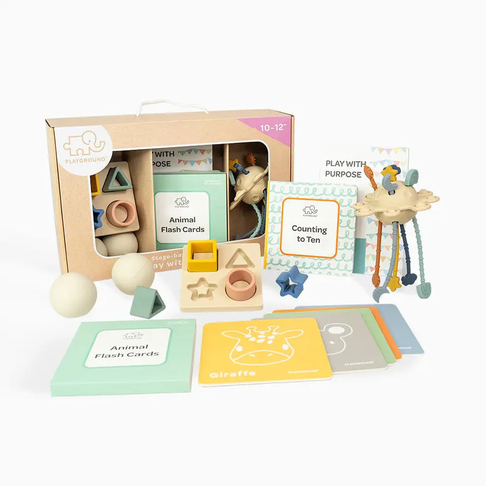Play With Purpose - Stage Based Play Box Age 10mths +