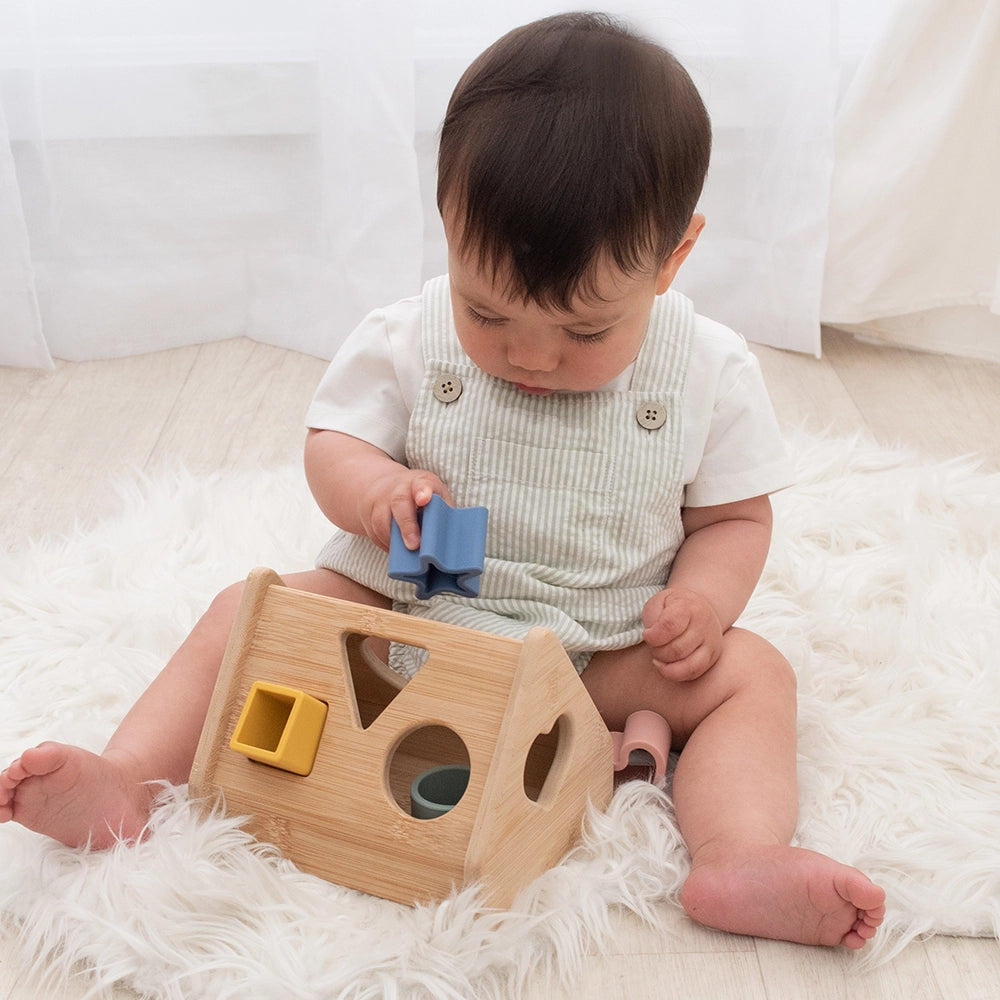 Wooden House Shape Sorter