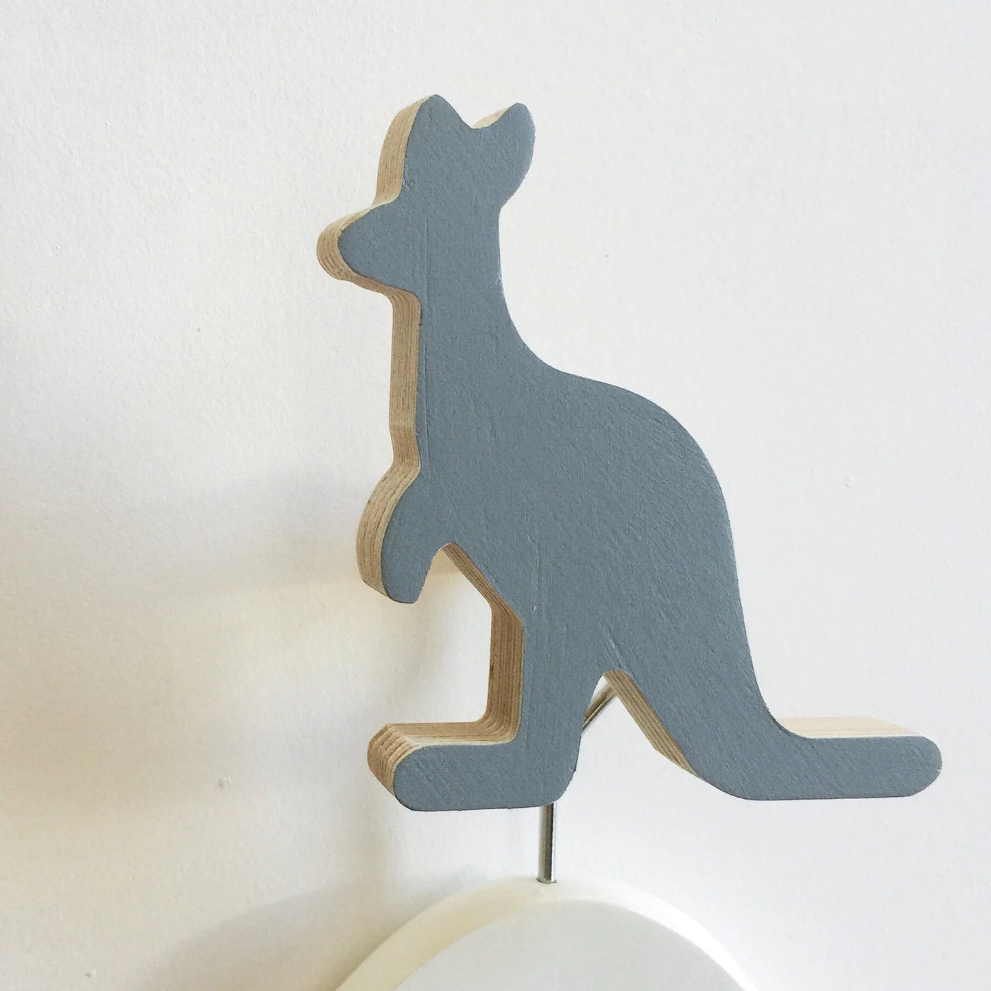 Wall Hooks