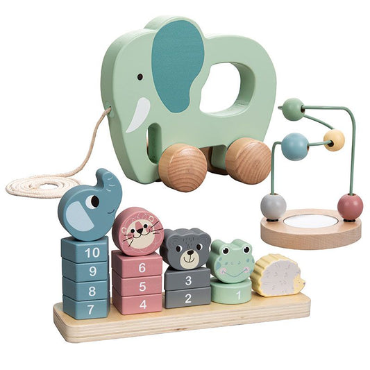 Wooden Educational Toy Trio
